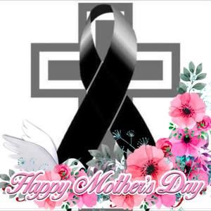 Meet your Posher, Norma